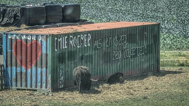 Boerderij met dode Schotse Hooglanders blijkt Alkmaarse zorgboerderij: “Deze mensen mogen nooit meer dieren houden.”