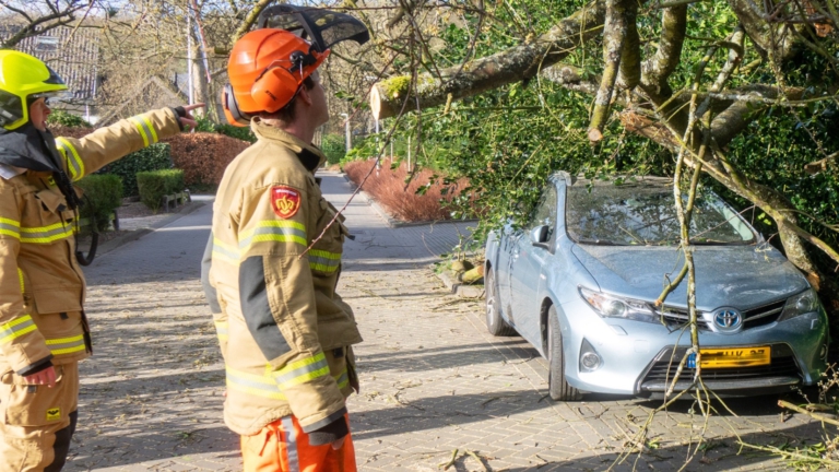 Boom uit tuin valt op geparkeerde auto in Bergen