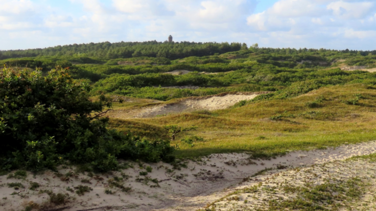 Mee met gids Hans Stapel voor een duinwandeling vanaf Heemtuin Parnassia 🗓