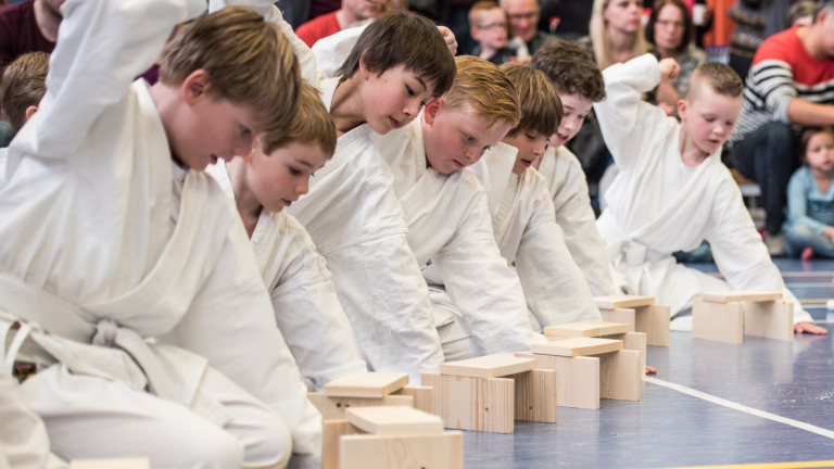 Benefiettraining: karate voor Oekraïne 🗓