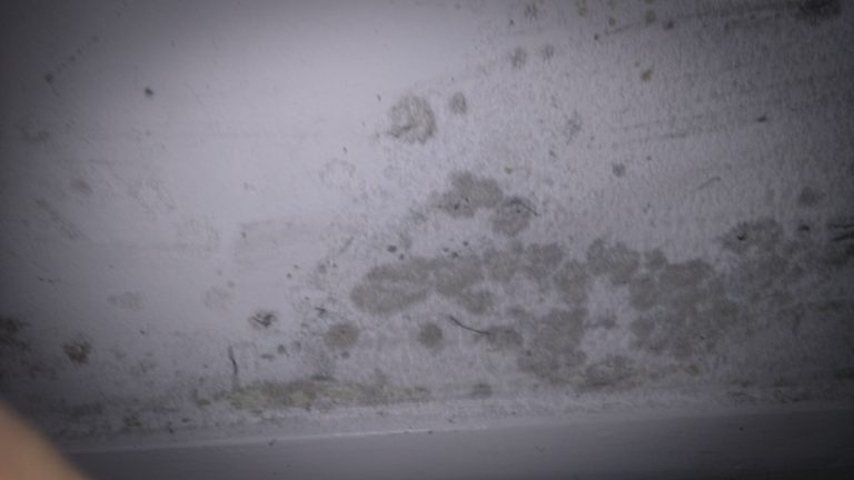Kans op huurverlaging voor huurders appartementen aan de Vrieswijk, Termijen en Mariënstein in Heiloo nihil.
