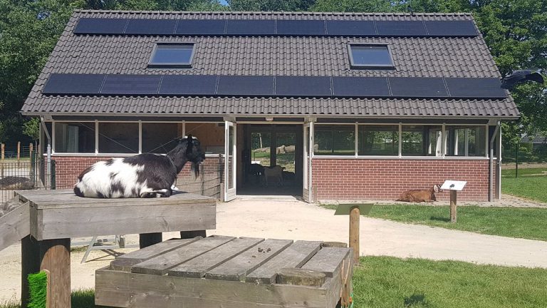 Lentefeest bij Kinderboerderij Bongelaar 🗓