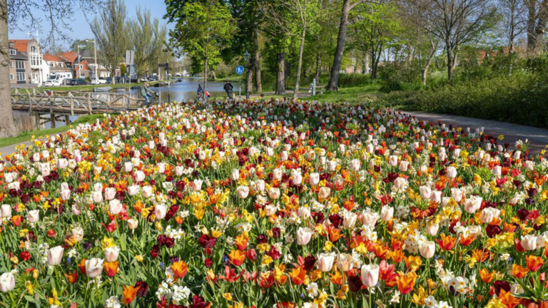 Gemeente steekt 300.000 euro in verdere verfraaiing Bolwerk en Victoriepark