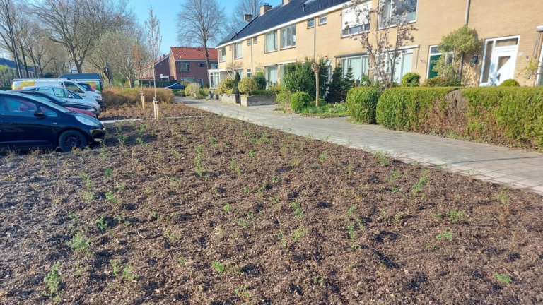 Gemeente Dijk en Waard start omstreden proef met bodemverrijker Bokashi