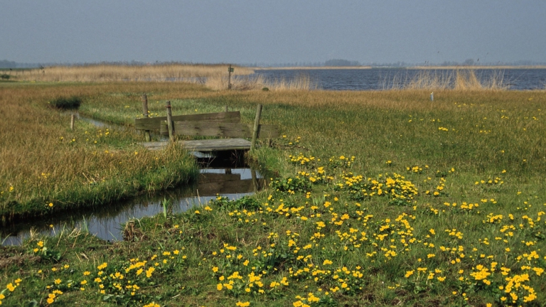 Wandeling met natuurgids door voorjaarsparadijs Limmerdie langs A9 🗓