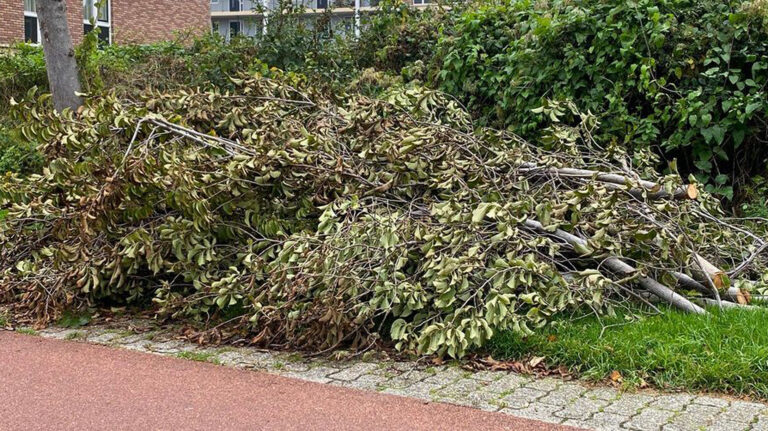 Voorstel voor extra inzamelrondes in gemeente Bergen voor tuinafval in voor- en najaar