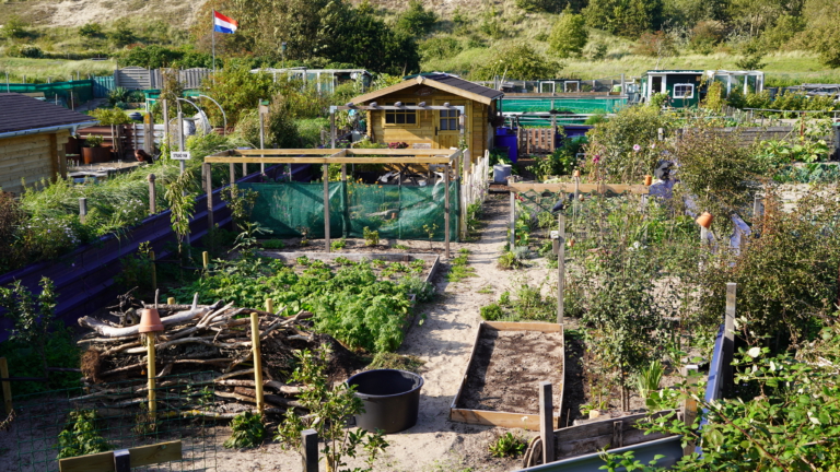 PWN en provincie onderzoeken concentraties PFAS op duinlandjes Egmond