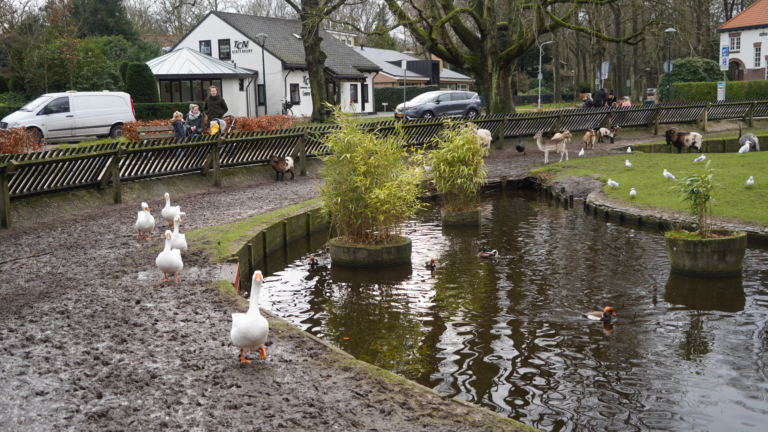 Wandelpuzzeltochten door Bergen terug van weggeweest: “Goed opletten onderweg voor de prijzen” 🗓