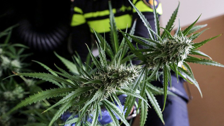 Tip leidt politie naar opslag softdrugs in pand aan Herculesstraat in Alkmaar