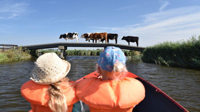 Hoogheemraadschap houdt zomerse fotowedstrijd en geeft ‘spetterende’ prijzen weg