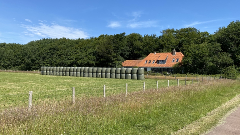 Buurman wint kort geding: Dirk Kat moet hooibalen bij Paddenpaadje Bergen deze week verwijderen