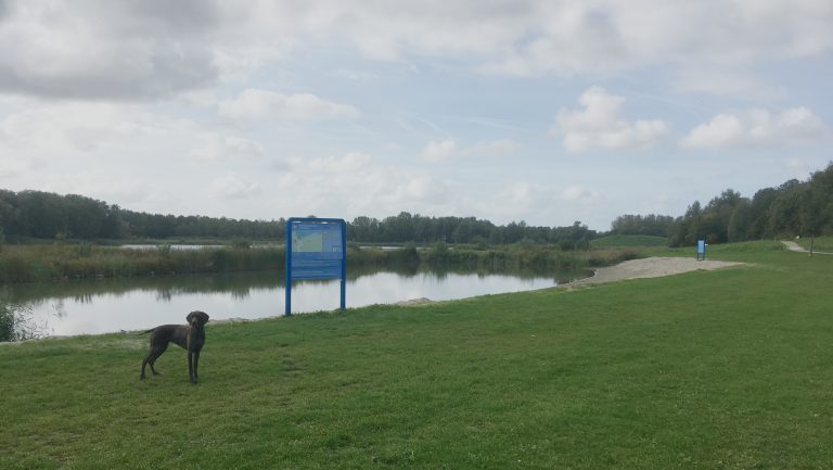 Festival Health @ The Lake in Geestmerambacht