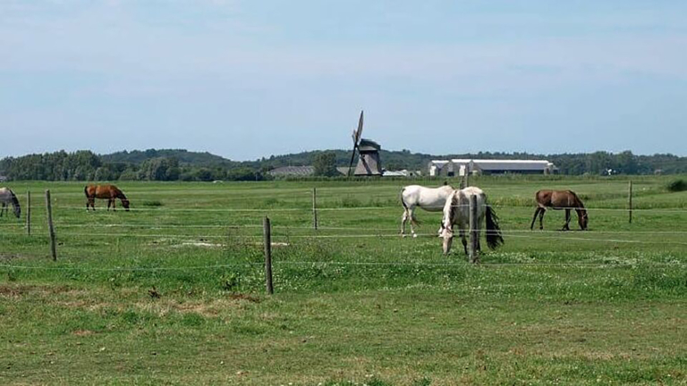 Zondag wandelen en fietsen door Groene Hart Bergen tijdens Landschapsdag Weidse Polders 🗓