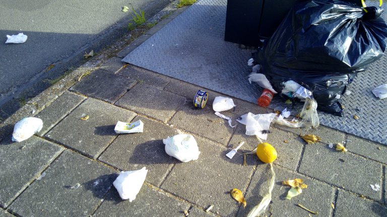 Vulgraadsensoren in alle ondergrondse vuilcontainers in gemeente Bergen