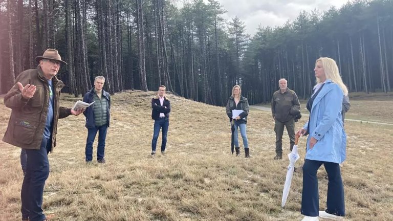 Opnieuw worden bomen gekapt in Bergen: “Om de duinen weer aan het stuiven te krijgen”