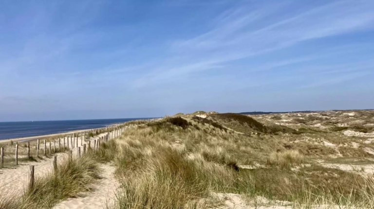 Doorbraak in duinmoord: Egmonder (30) bekent doodslaan Peter Langenberg