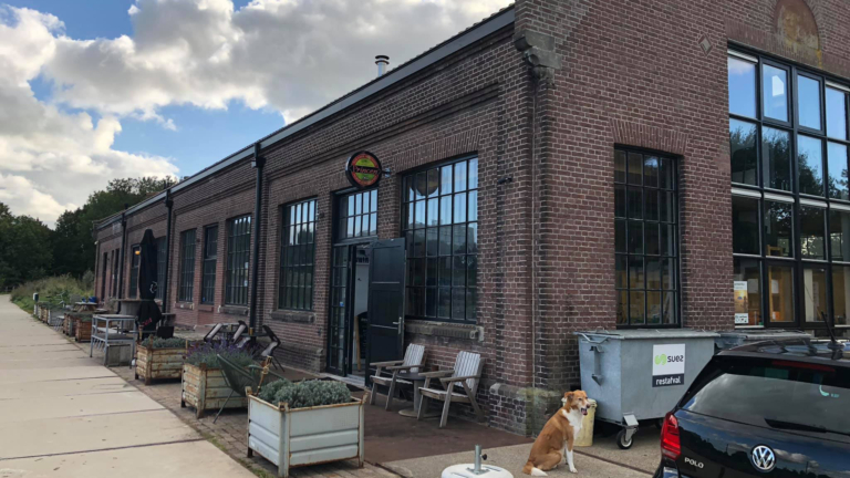 GAS!Fabriek Alkmaar start op 19 november met Club Timeless voor 30-plussers 🗓