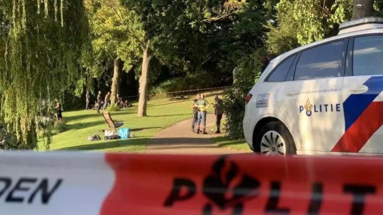 Heerhugowaardse man met bijl krijgt 4 maanden voorwaardelijk en hulp bij drugsverslaving