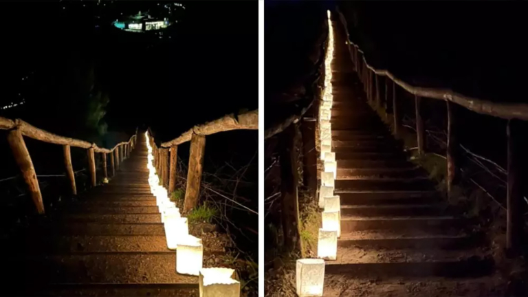 416 nieuwe treden van Schoorls bekendste duintrap vol met lichtjes