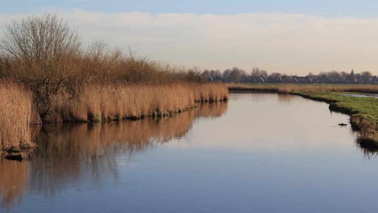 Beleef de Eilandpolder vanuit een fluisterboot op zondag 8 januari 🗓