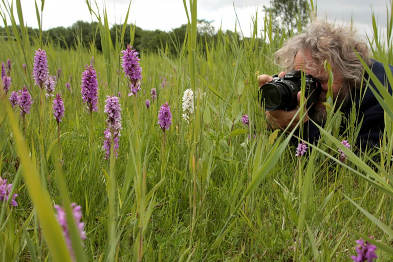 Staatbosbeheer organiseert workshop fotografie in Schoorlse Duinen 🗓