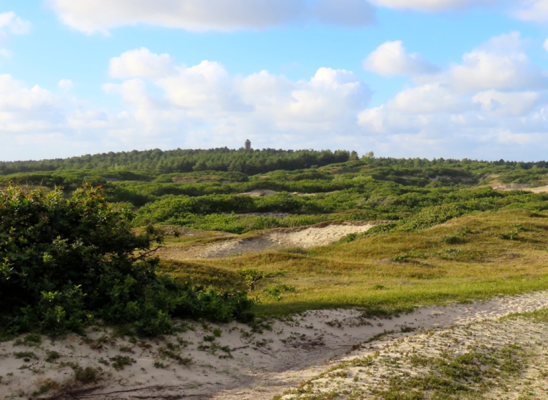 IVN organiseert 5 februari duinwandeling rond Bergen aan Zee 🗓