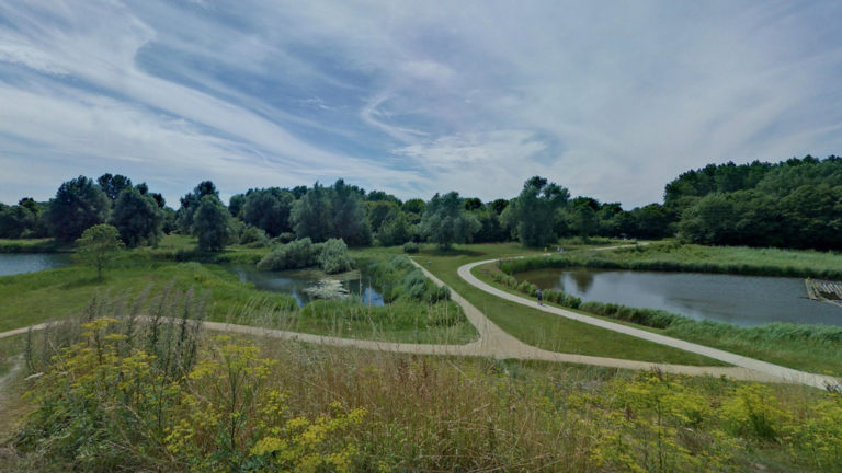 Boomplantdag herdenkingsbos voor overleden kinderen bij Natuurbegraafplaats Geestmerloo 🗓