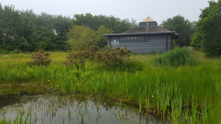 Provincie steunt vier vrijwilligersprojecten in de regio vanuit Betrekken bij Groen-fonds