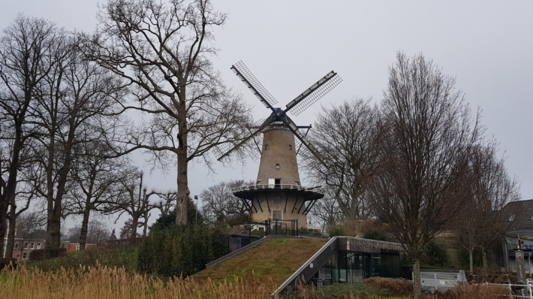 Opnieuw snoeivertraging bij Molen van Piet