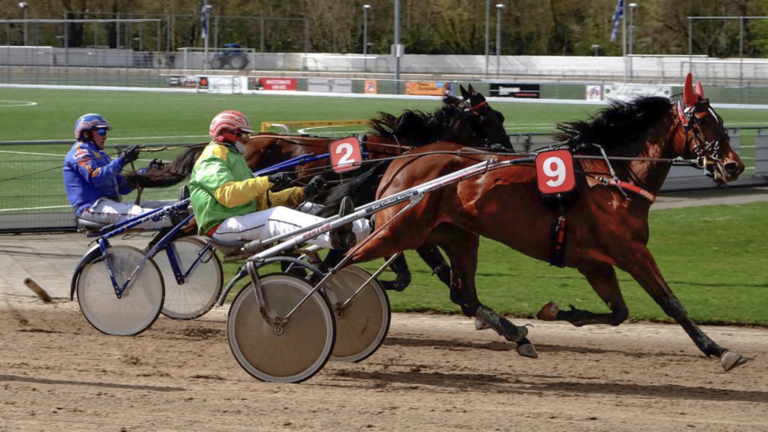 Grote Paasprijs op Alkmaarse drafbaan met twee Gouden Zweep winnaars 🗓
