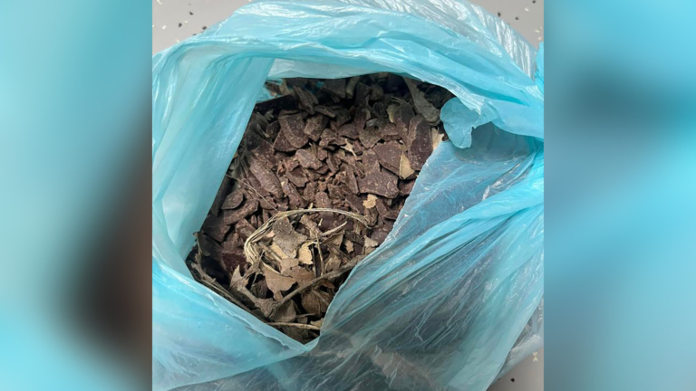 Dierenkliniek waarschuwt hondenbezitters voor chocolade in Alkmaarderhout: “Let goed op!”