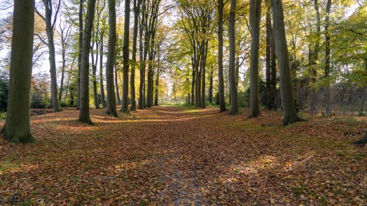 Vragen gesteld over vervuild bouwpuin in natuur van Heiloo