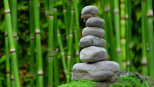 Tips om jouw tuin er netjes uit te laten zien [Advertorial]