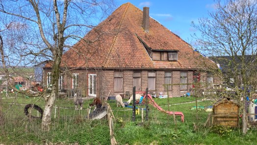 En weer nieuwe dieren op omstreden zorgboerderij Grootschermer; rechtszaak begin juni van start