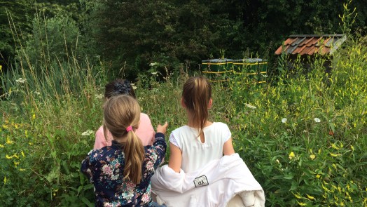 Alkmaarse theepluktuin Hortus verkeert in zwaar weer