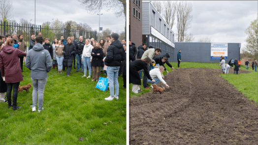 Wens Triple-medewerkers in vervulling: samen zaaien rond bedrijf op industrieterrein Oudorp