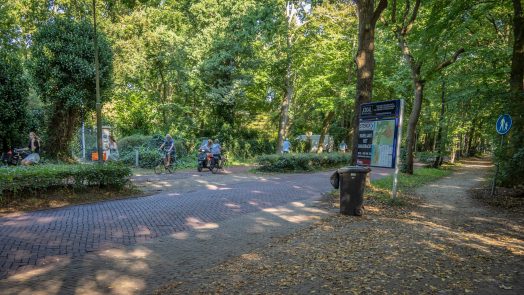Fietsersbond Bergen “onaangenaam verrast” door uitspraak Raad van State over Eeuwigelaan