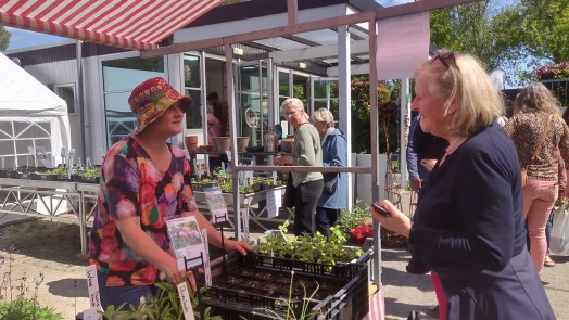Plantenmarkt op Moederdag bij Hortus Alkmaar 🗓