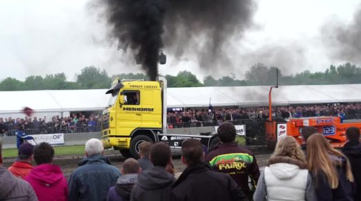 Trekkerfeest tijdens broedseizoen roept vragen op, maar “geen reden om vergunning te weigeren”