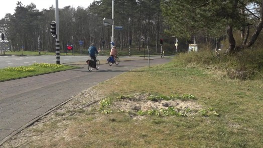 Plan voor nieuw kunstobject bij entree Egmond aan Zee zorgt nu al voor verdeeldheid
