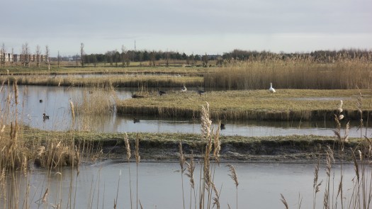 IVN-wandeling door Park van Luna op 28 mei 🗓