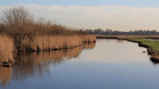 Noord-Holland wil 1,2 miljard voor landelijk gebied: “Flinke maatregelen noodzakelijk”