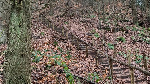 Renovatie duintrap bij Brouwerskom in Schoorl komt stap dichterbij: “Nog 51 treden”