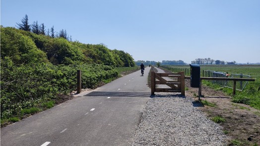 Paddenpad in Bergen heropend: breder en met schelpenvoetpad