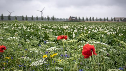 Provincie tevreden over enquête landelijk gebied, “ik heb hem zelf ook ingevuld”