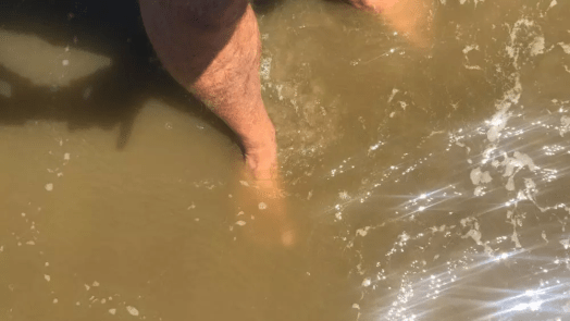 Strandgangers klagen over stinkende plakzee: “Hinderlijk, maar niet ernstig”