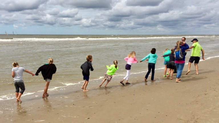 Korren met IVN-gidsen op zondagochtend 16 juli: “Op zoek naar jong leven in zee” 🗓