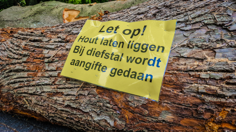 Een goed heenkomen voor al dat hout na de storm: “Voor onze parken”