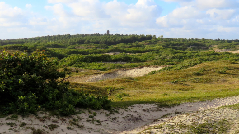 Het ene zand is het andere niet, laat natuur- en cultuurwandeling door Bergen aan Zee zien 🗓