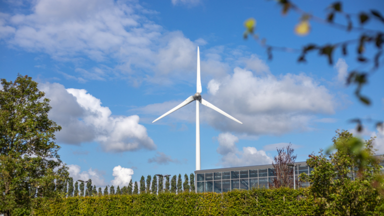 Omwonenden windturbines Park van Luna in hoger beroep tegen gemeente